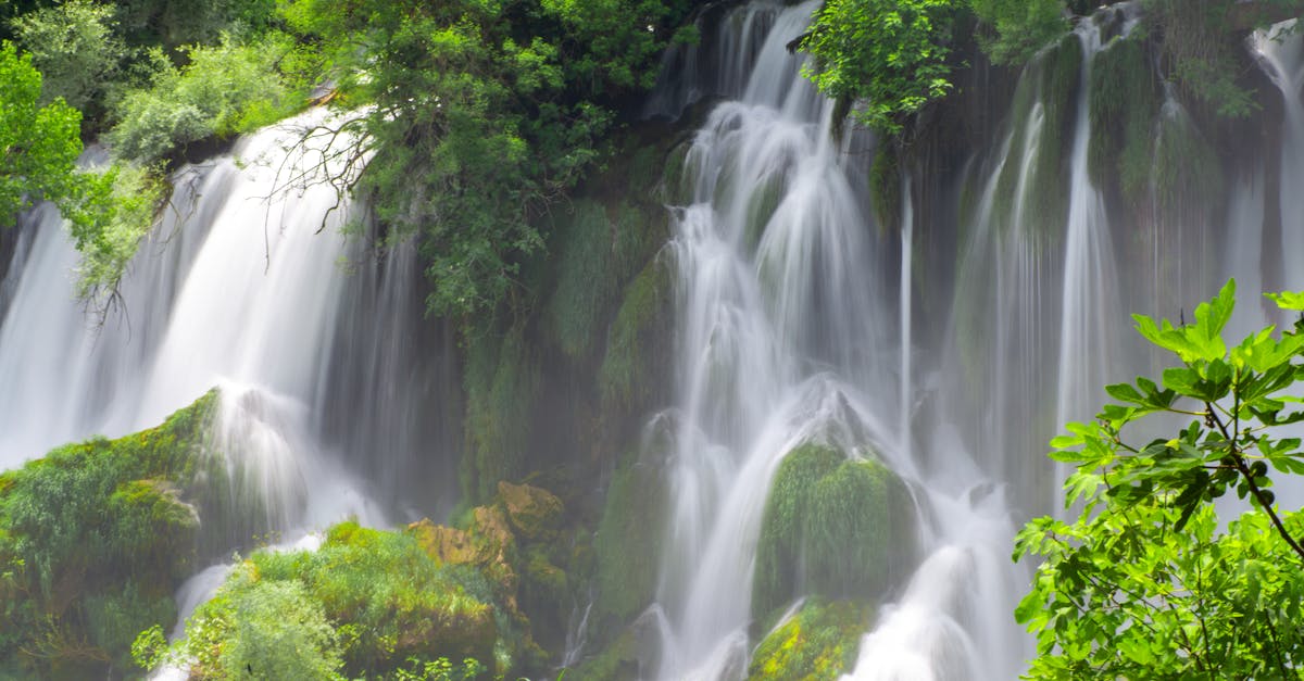 découvrez le monde fascinant de l'écotourisme, où la nature et la préservation de l'environnement se rencontrent. explorez des destinations durables et authentiques tout en profitant d'activités respectueuses de la nature qui enrichissent votre expérience et soutiennent les communautés locales.