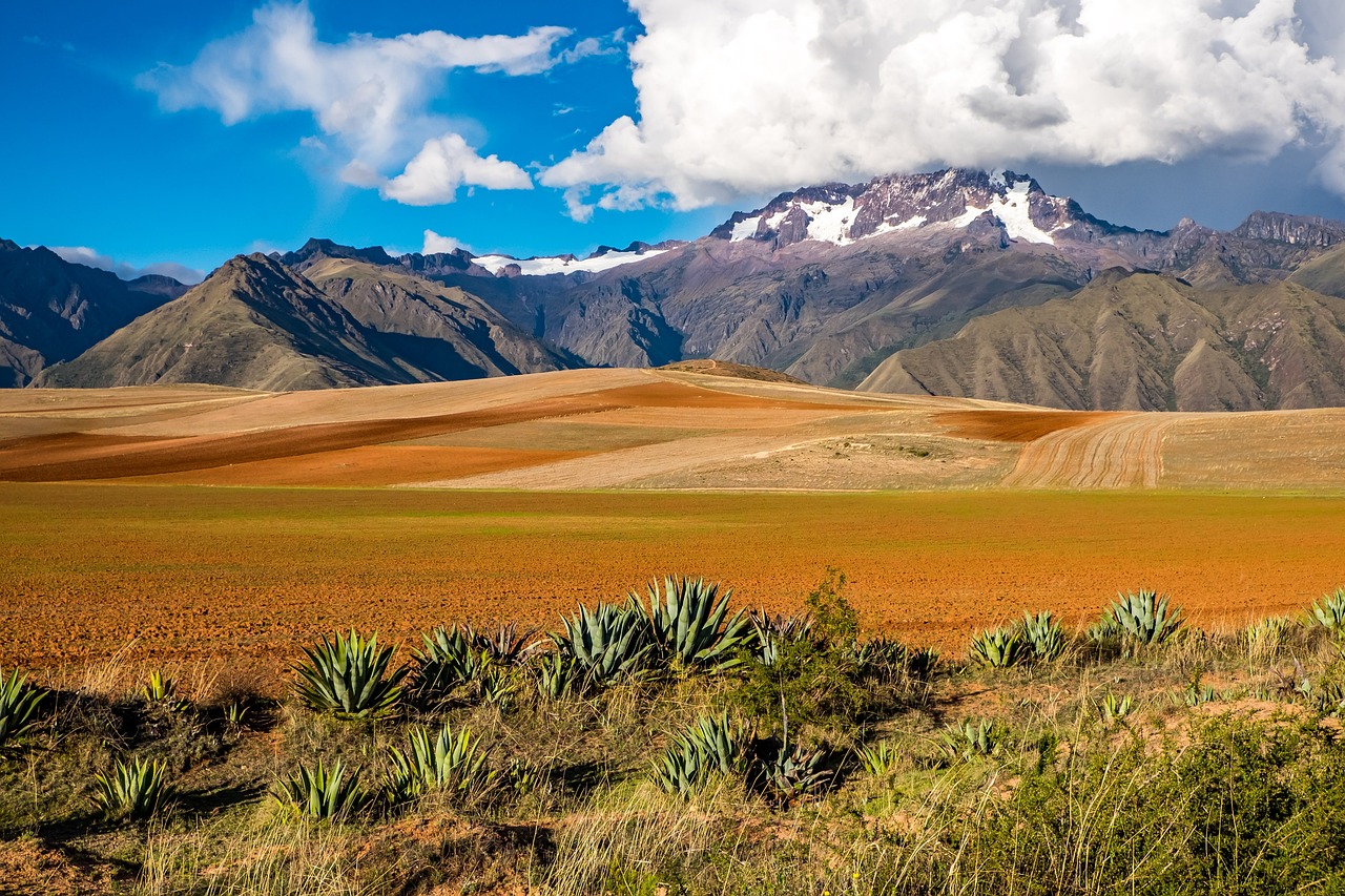 Bolivie : Le Rôle du Ministère de l’Europe et des Affaires Étrangères