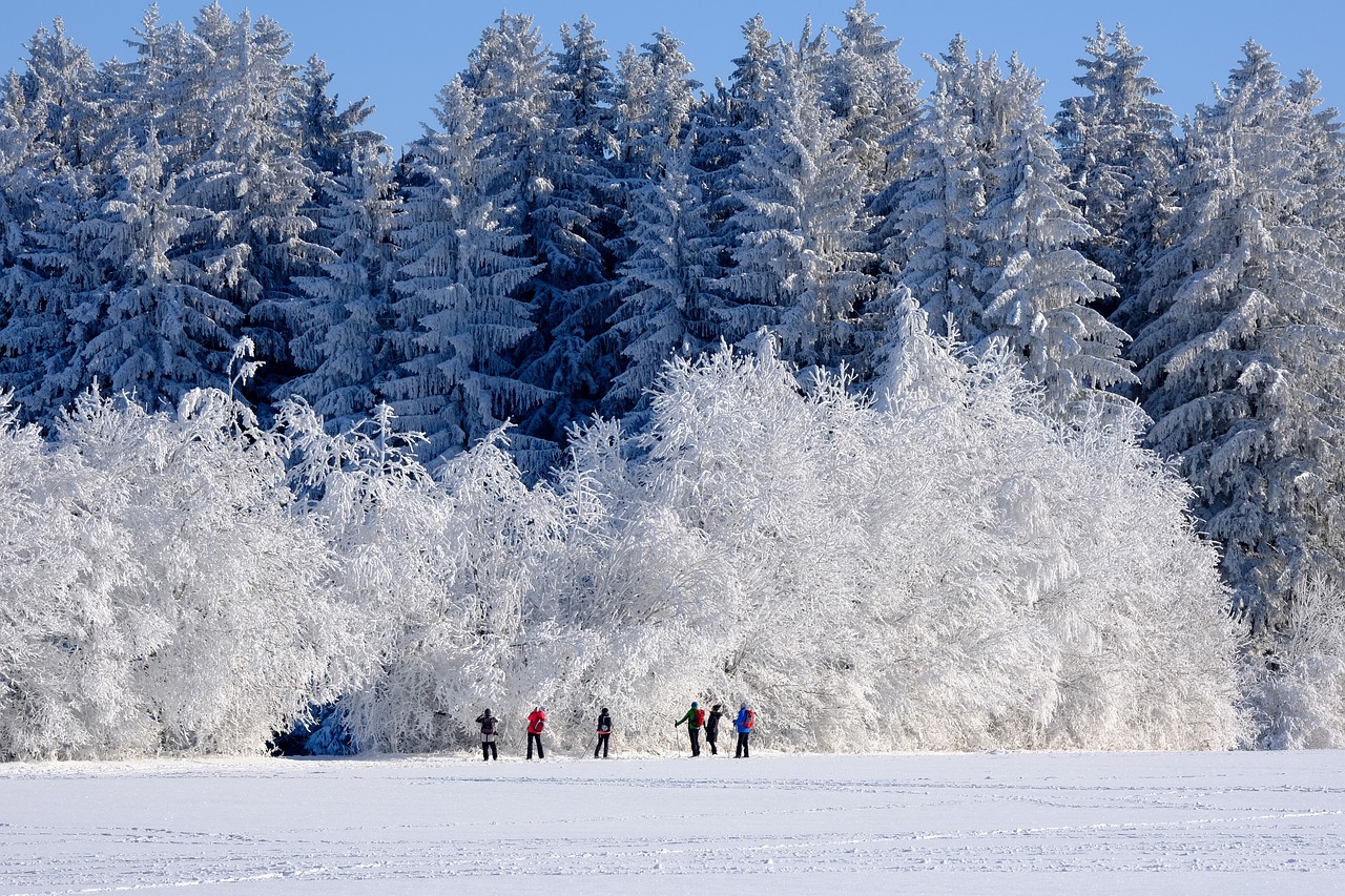 découvrez des escapades hivernales inoubliables, où chaque destination vous invite à profiter de paysages enneigés, d'activités de plein air et de moments chaleureux au coin du feu. planifiez votre aventure d'hiver idéale dès maintenant !