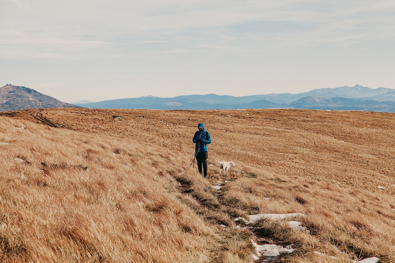 découvrez le tourisme d'aventure : des expériences uniques et palpitantes allant de la randonnée en montagne aux sports extrêmes, en passant par l'exploration de paysages naturels époustouflants. vivez des moments inoubliables en pleine nature et dépassez vos limites !