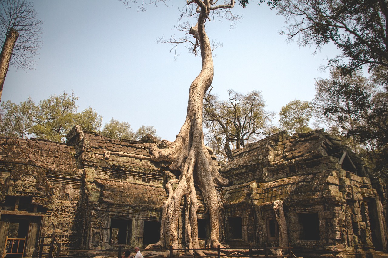 découvrez angkor, le fascinant complexe de temples situé au cambodge, symbole de l'héritage khmer. plongez dans l'histoire et la spiritualité de ce site classé au patrimoine mondial de l'unesco, où chaque pierre raconte l'épopée d'une civilisation ancienne.