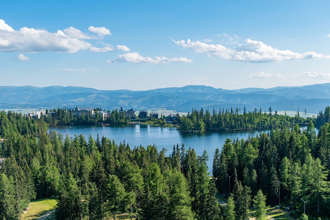 découvrez le tourisme éthique : une approche responsable qui respecte l'environnement, les cultures locales et favorise les échanges authentiques. engagez-vous pour des voyages durables et enrichissants.