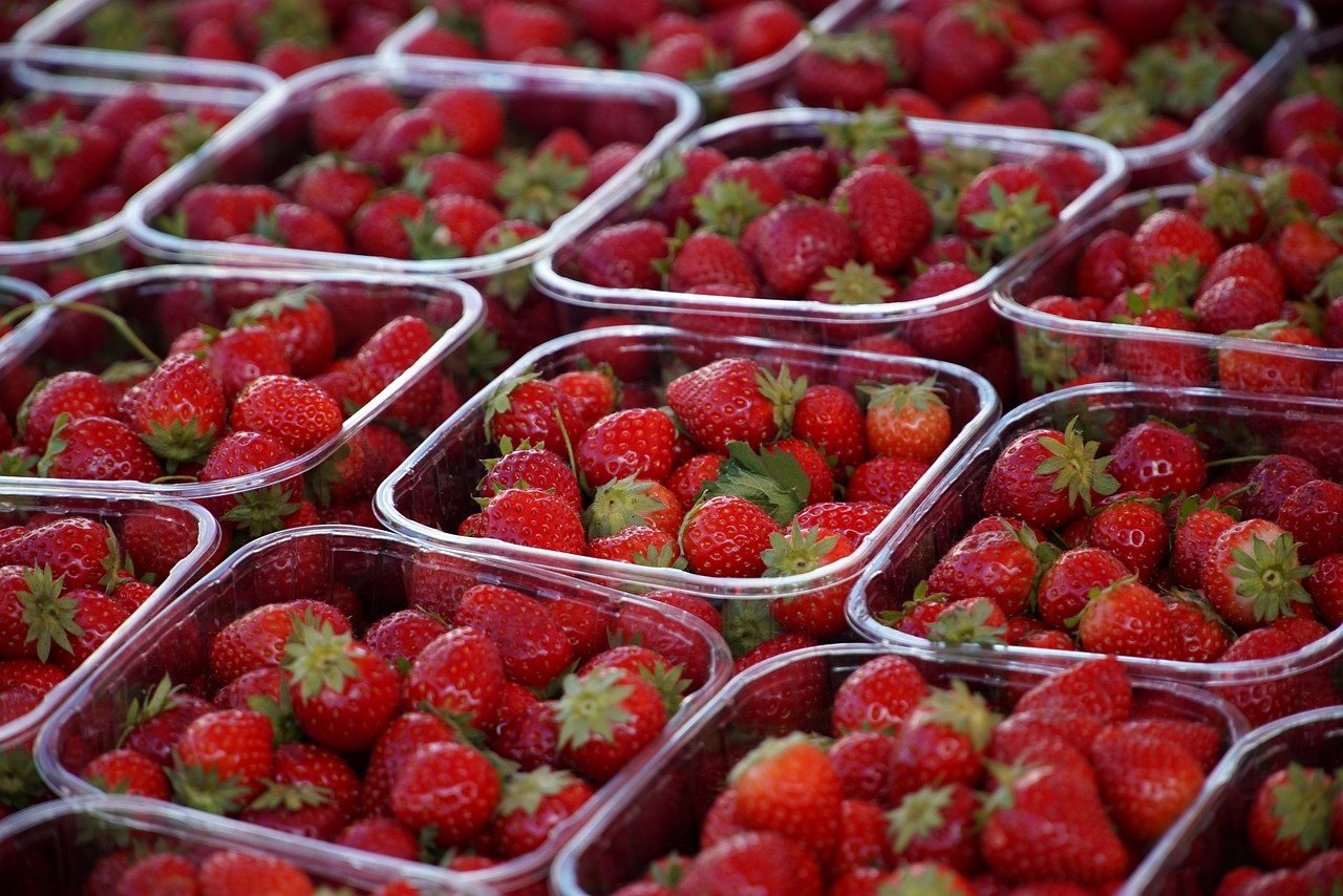 découvrez les marchés alimentaires : un véritable paradis pour les gourmands ! explorez une variété de produits frais, locaux et artisanaux tout en profitant d'une ambiance conviviale et chaleureuse. que vous soyez à la recherche de fruits et légumes bio, de spécialités régionales ou de saveurs du monde entier, les food markets sont l'endroit idéal pour éveiller vos papilles. ne manquez pas cette expérience unique au cœur de la gastronomie !