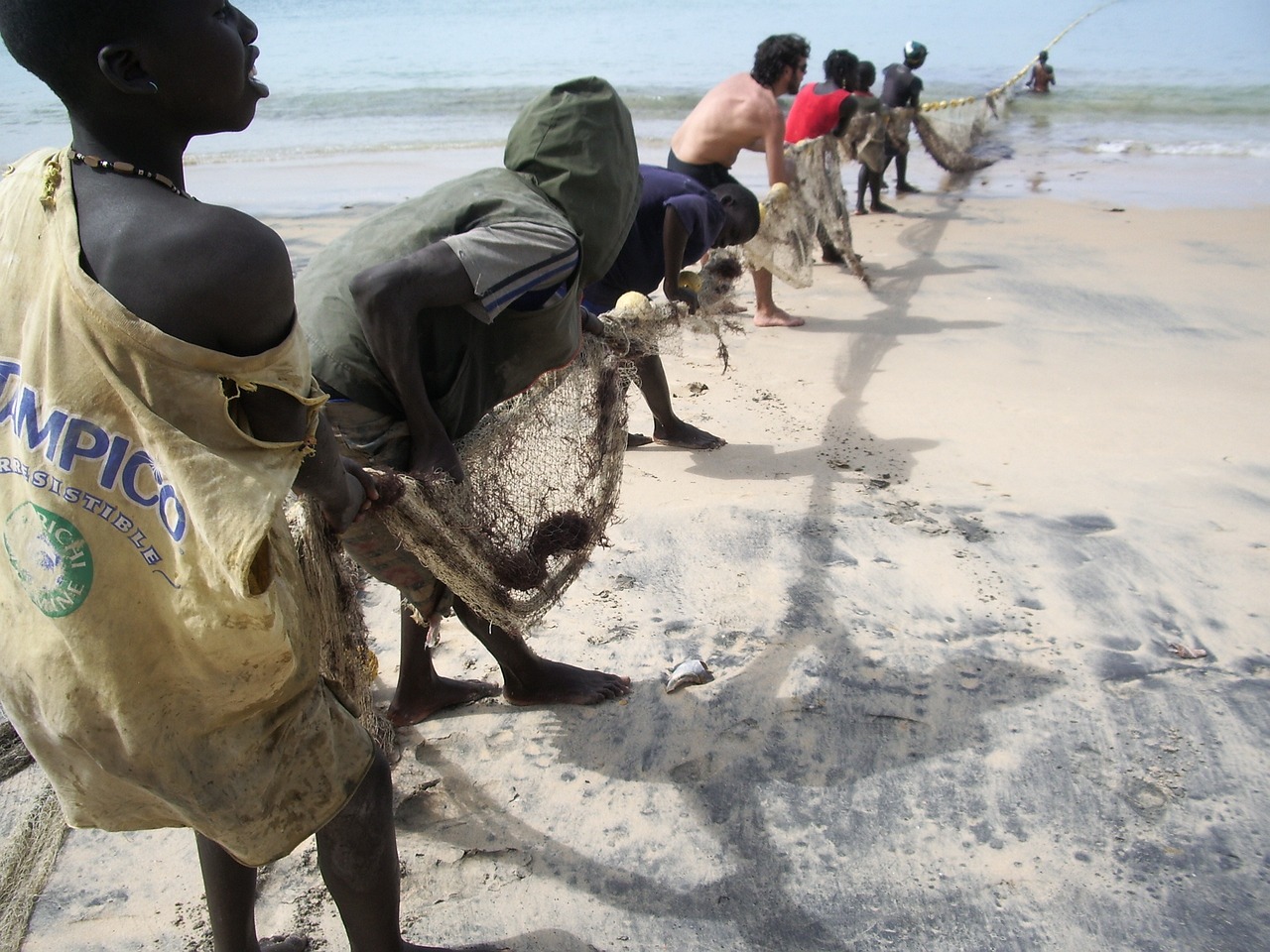 découvrez le sénégal, un pays riche en culture, en histoire et en paysages diversifiés. explorez ses plages ensoleillées, sa vie sauvage fascinante et son patrimoine unique, tout en vous immergeant dans l'hospitalité légendaire de ses habitants.