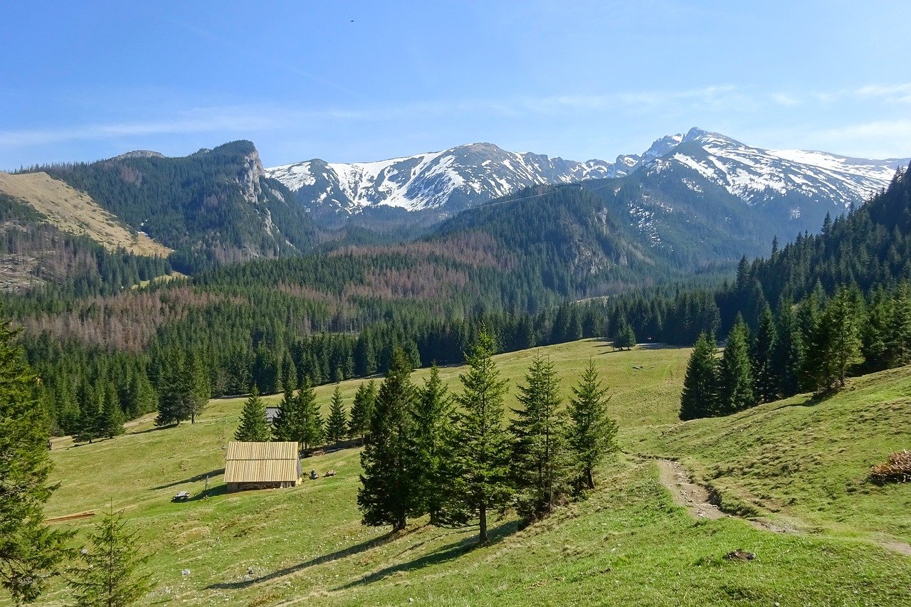 découvrez le tourisme sous toutes ses formes : des destinations exotiques aux escapades locales, en passant par les expériences culturelles uniques. explorez les merveilles du monde, préparez vos vacances de rêve et laissez-vous inspirer par la beauté des paysages et la richesse des cultures.