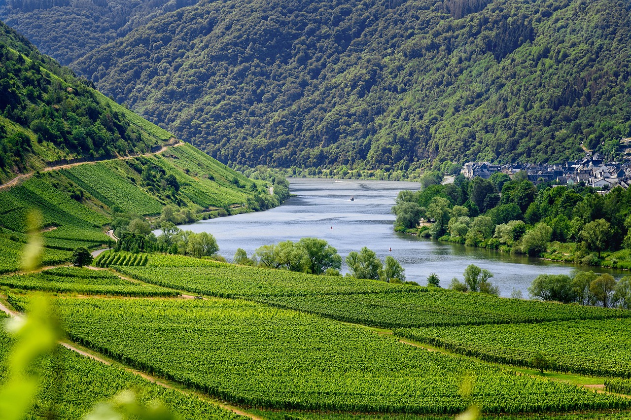 découvrez le monde fascinant du tourisme : explorez des destinations incontournables, plongez dans des cultures variées et vivez des expériences uniques qui enrichiront votre horizon. que vous soyez amateur d'aventures en plein air ou de séjours relaxants sur des plages paradisiaques, le tourisme vous invite à élargir vos perspectives.