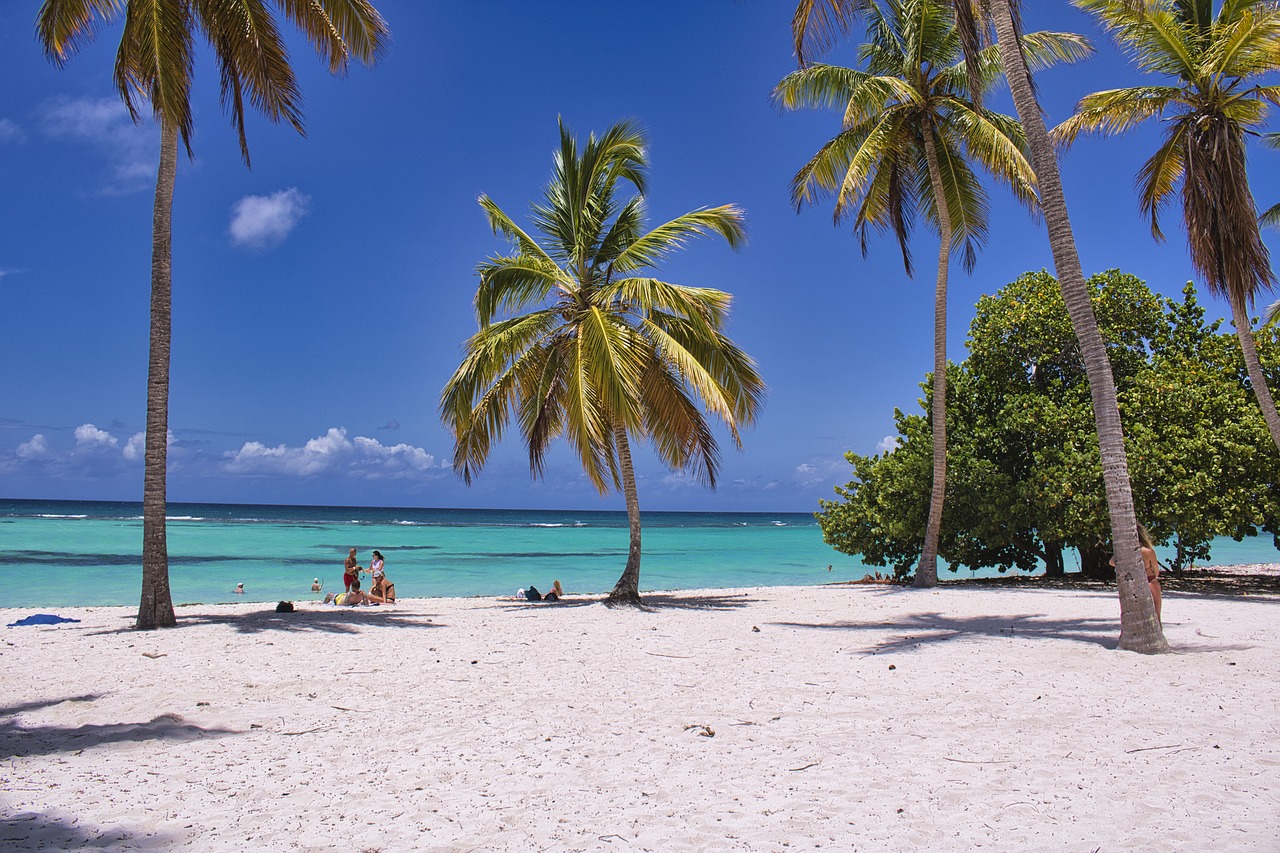 découvrez les meilleures destinations de voyage à travers le monde. explorez des paysages à couper le souffle, des cultures fascinantes et des expériences inoubliables pour planifier votre prochaine aventure.