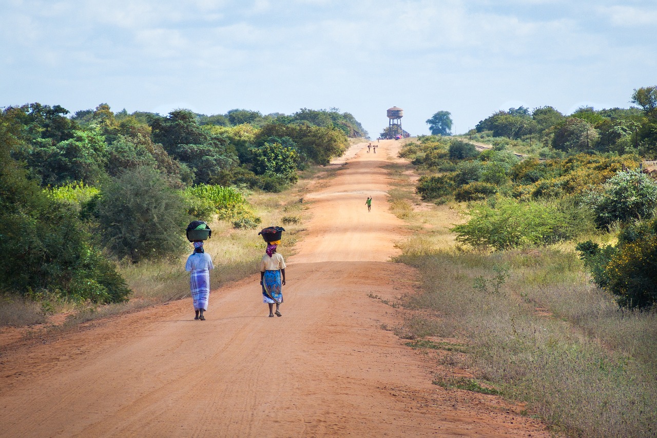 découvrez le mozambique, une destination exotique en afrique de l'est, offrant des plages paradisiaques, une riche biodiversité et une culture fascinante. explorez ses paysages variés, de l'archipel des quirimbas aux parcs nationaux, et savourez la gastronomie locale tout en vivant des aventures inoubliables.