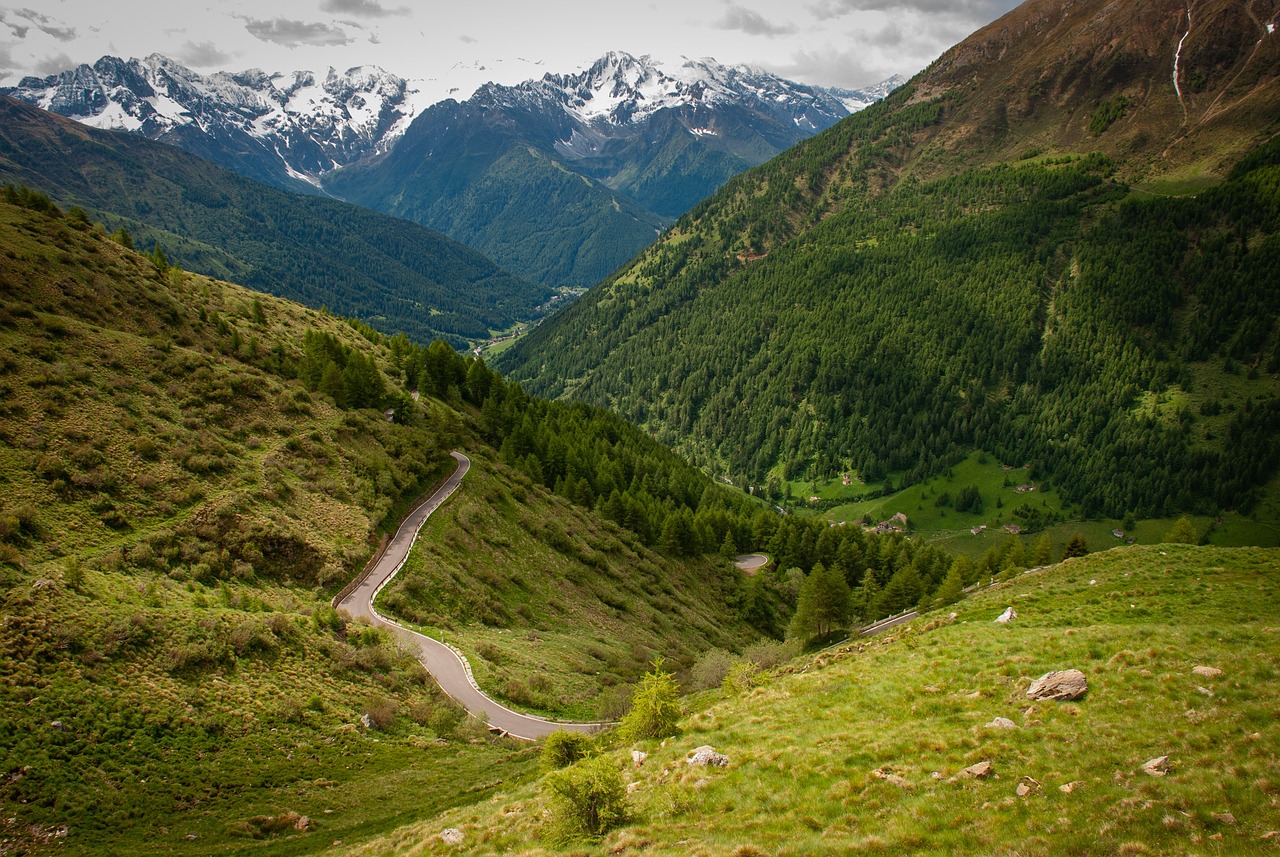 découvrez des astuces et des destinations idéales pour voyager avec votre animal de compagnie. explorez les meilleures options d'hébergement, de transport et d'activités adaptées aux animaux pour des vacances inoubliables en famille.