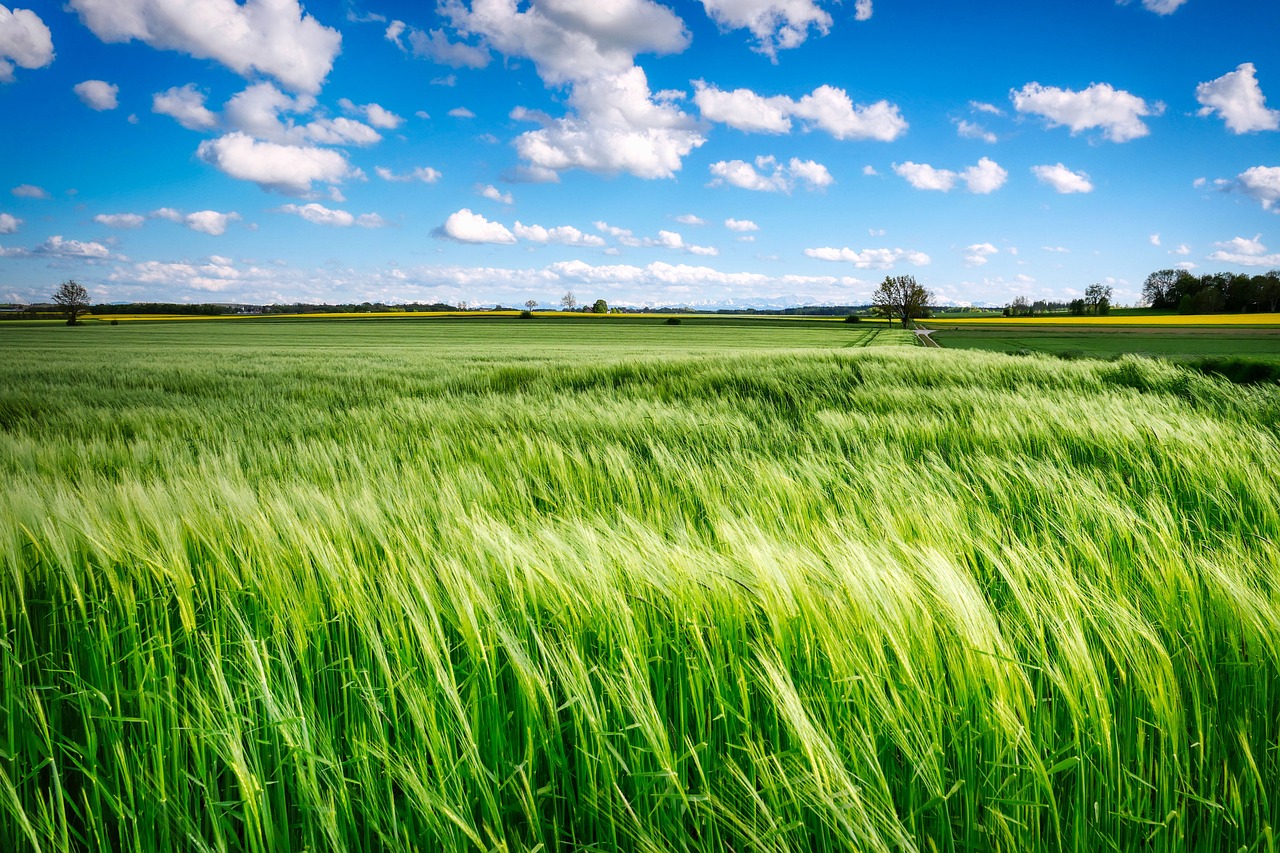 découvrez notre sélection exceptionnelle de produits agricoles frais et de qualité. que vous soyez à la recherche de fruits, légumes, produits laitiers ou viandes, nous vous garantissons des produits locaux, respectueux de l'environnement et cultivés avec soin. faites le choix du bon goût et du terroir.