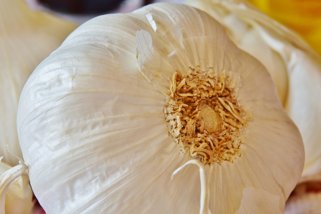 découvrez l'importance des ingrédients locaux dans la cuisine : fraîcheur, saveurs authentiques et soutien aux producteurs de votre région. adoptez un mode de consommation responsable et savourez des plats préparés avec des produits de saison.