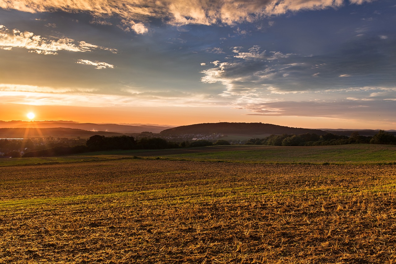 découvrez le tourisme rural : une plaisante évasion au cœur de la nature, où authenticité et traditions s'allient pour offrir des expériences uniques. explorez des paysages pittoresques, savourez des repas locaux et plongez dans la richesse culturelle des campagnes.