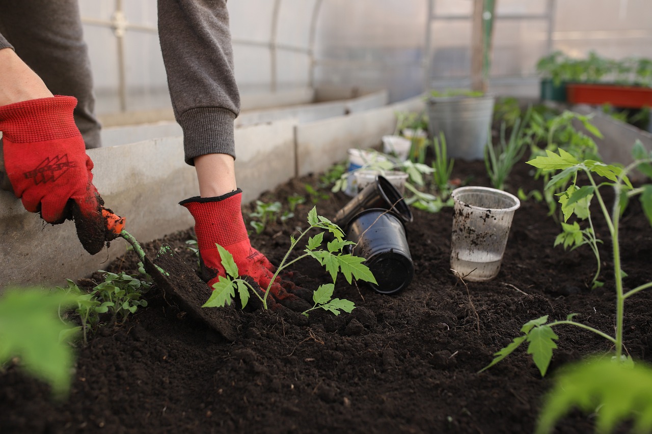 découvrez l'univers savoureux de la cuisine végétale ! des recettes créatives et délicieuses à base de légumes frais qui raviront vos papilles tout en préservant votre santé. explorez des plats colorés, les bienfaits des aliments d'origine végétale et apprenez à cuisiner avec des ingrédients naturels pour une alimentation équilibrée.