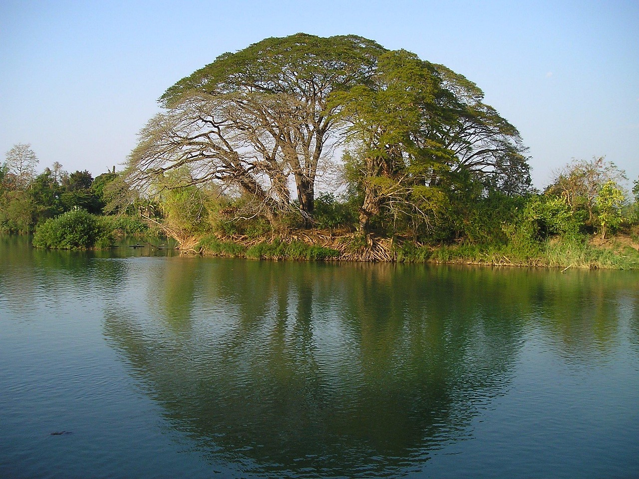 découvrez le laos, un pays d'asie du sud-est riche en culture, paysages magnifiques et traditions fascinantes. explorez ses temples anciens, ses rivières sereines et sa cuisine délicieuse. une aventure inoubliable vous attend au cœur de ce joyau caché.