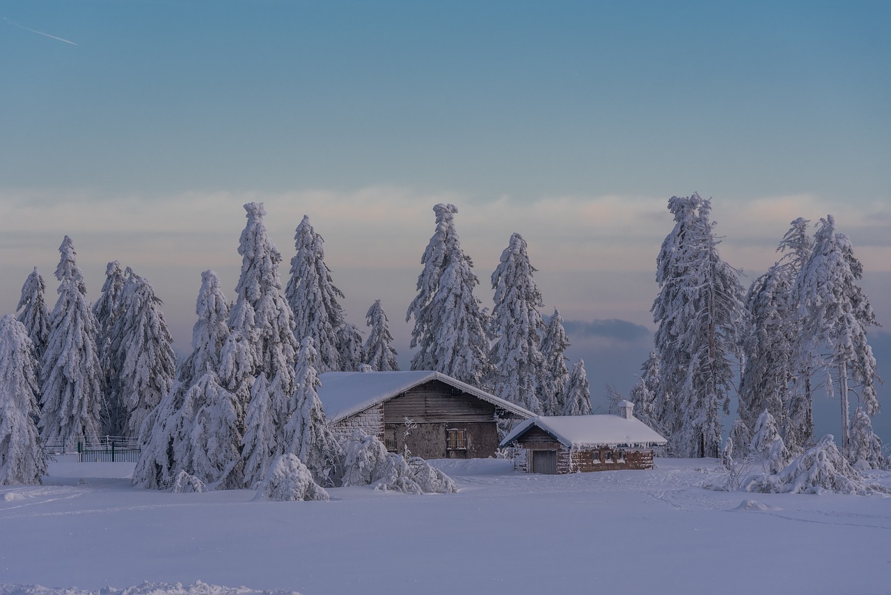 découvrez les meilleures activités de plein air en hiver : randonnée, ski, raquettes et bien plus encore pour profiter pleinement de la magie de la saison froide.