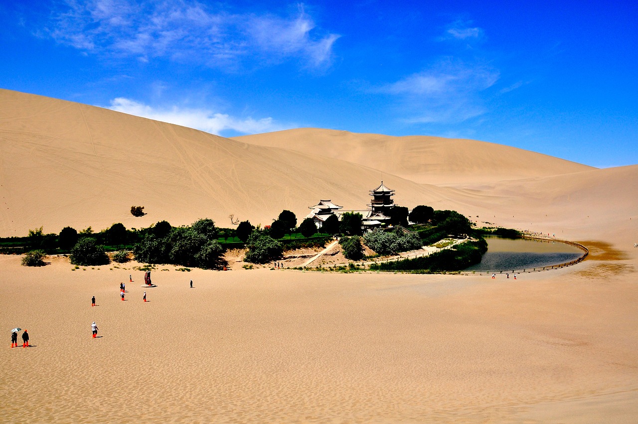 découvrez l'oasis, un havre de paix au cœur du désert où la nature s'épanouit. plongez dans un monde de sérénité, de paysages luxuriants et de trésors cachés pour une évasion inoubliable.