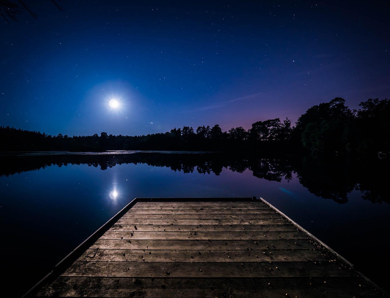 découvrez l'émerveillement des nuits étoilées avec notre guide sur l'observation des étoiles. apprenez à identifier les constellations, à utiliser des télescopes et à explorer les merveilles de l'univers depuis votre jardin ou lors d'une sortie en pleine nature.