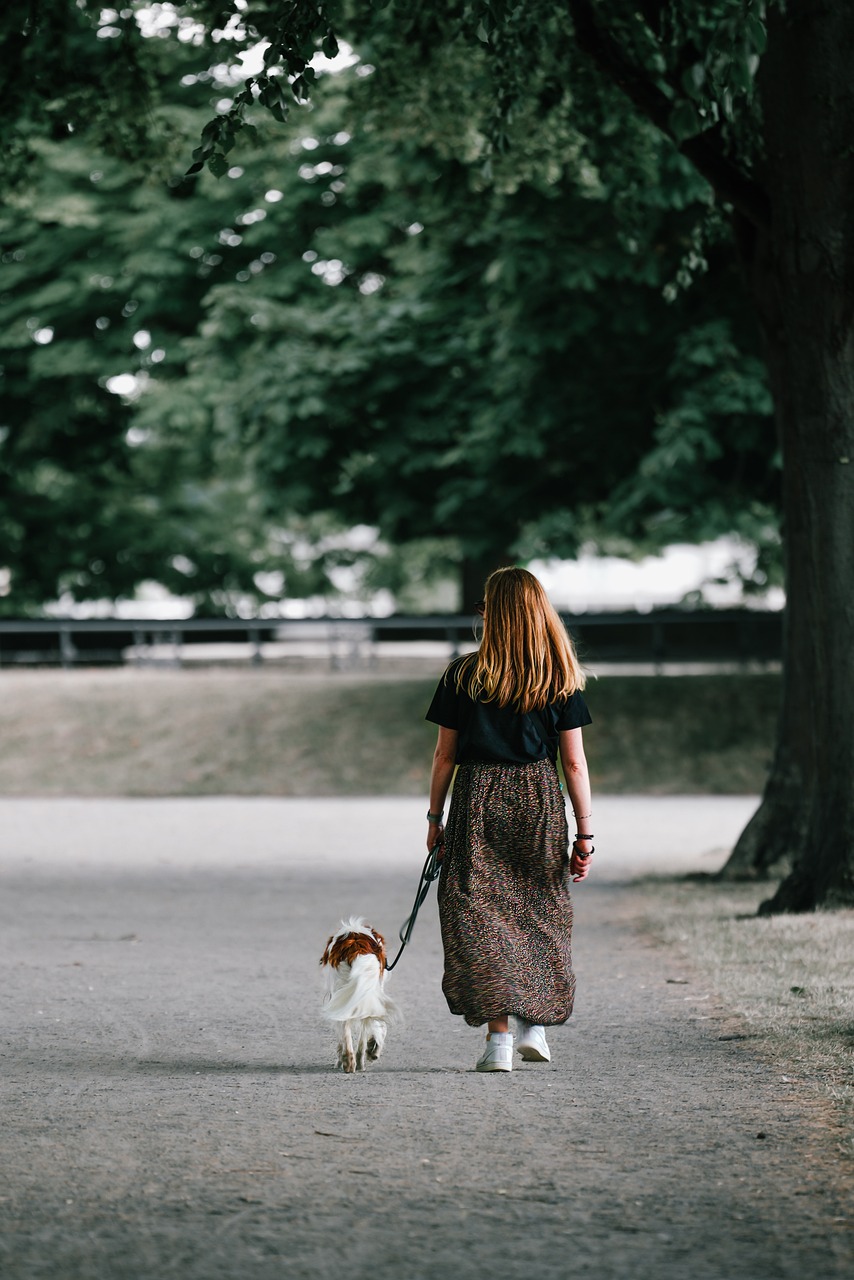 découvrez la beauté de la nature à travers nos promenades en plein air. éveillez vos sens et respirez l'air frais tout en explorant des sentiers pittoresques, entourés de paysages à couper le souffle. rejoignez-nous pour une expérience revitalisante en harmonie avec la nature.