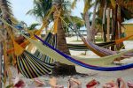 découvrez la beauté sauvage et la richesse culturelle du belize, un havre de paix en amérique centrale. entre ses plages de sable fin, ses récifs coralliens et ses ruines mayas, le belize offre une expérience inoubliable aux amateurs d'aventure et de tranquillité.