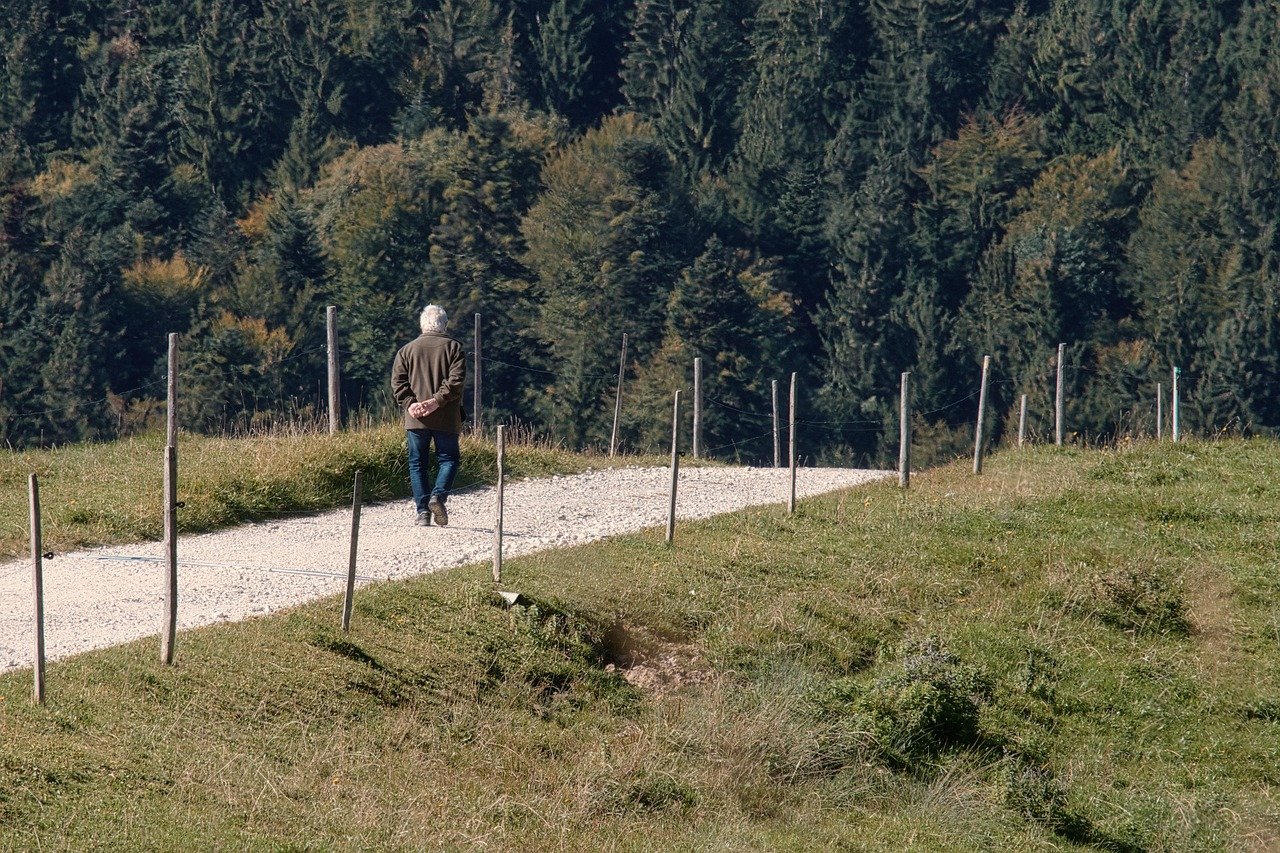 découvrez la beauté des paysages naturels lors de nos promenades en pleine nature. évadez-vous du quotidien, respirez l'air frais, et reconnectez-vous avec l'environnement grâce à nos randonnées guidées. parfait pour les amateurs de plein air et les curieux de la faune et de la flore.