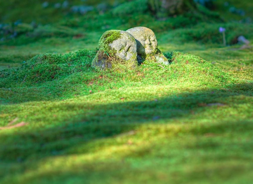 Patrimoine : comprendre son importance pour la culture et l’histoire