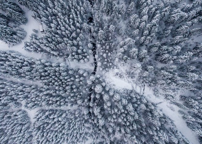 Plein air : 10 activités incontournables pour profiter de la nature