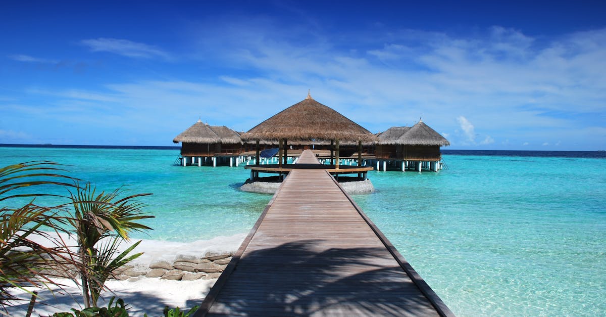 découvrez des conseils pratiques et des idées inspirantes pour planifier vos vacances de rêve. que vous souhaitiez vous détendre sur une plage ensoleillée, explorer des villes pittoresques ou vivre des aventures en pleine nature, trouvez ici tout ce qu'il vous faut pour un voyage inoubliable.